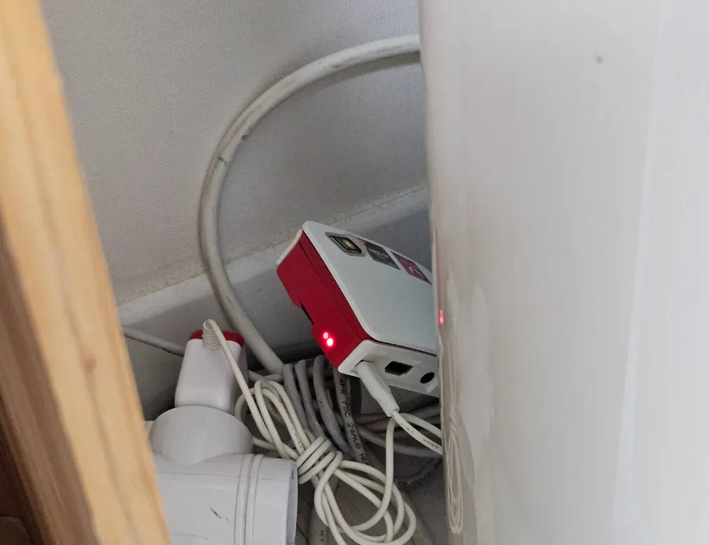 거실 구석탱이에서 눈을 뜬 라파이